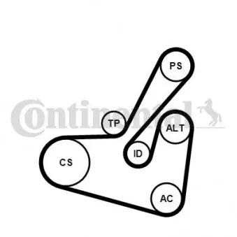 Jeu de courroies trapézoïdales à nervures CONTITECH 6PK1750K1