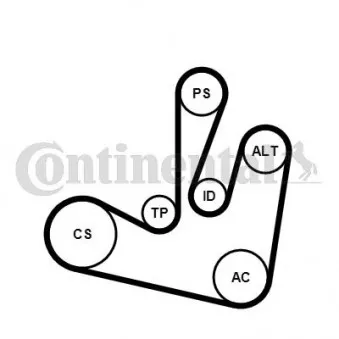 Jeu de courroies trapézoïdales à nervures CONTITECH 6PK1750K2