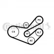 Jeu de courroies trapézoïdales à nervures CONTITECH 6PK1750K3 - Visuel 1
