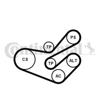 Jeu de courroies trapézoïdales à nervures CONTITECH 6PK1750K3