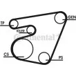 Jeu de courroies trapézoïdales à nervures CONTITECH 6PK1767D1 - Visuel 1