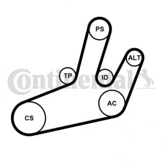 Jeu de courroies trapézoïdales à nervures CONTITECH 6PK1780K1