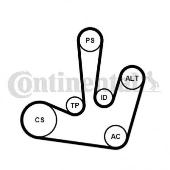 Jeu de courroies trapézoïdales à nervures CONTITECH 6PK1795K1
