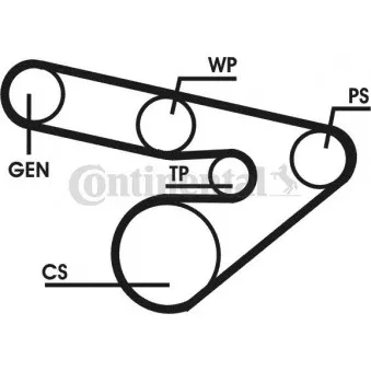 Jeu de courroies trapézoïdales à nervures CONTITECH 6PK1800D1