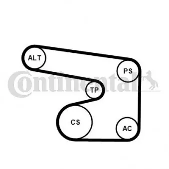 Jeu de courroies trapézoïdales à nervures CONTITECH 6PK1900K1
