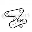 Jeu de courroies trapézoïdales à nervures CONTITECH 6PK2080K1 - Visuel 1