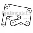 Pompe à eau+Jeu de courroie trapézoïdale à nervures CONTITECH 6PK2155WP1 - Visuel 2