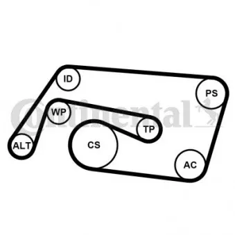 Jeu de courroies trapézoïdales à nervures CONTITECH 6PK2260K2