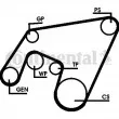 Jeu de courroies trapézoïdales à nervures CONTITECH 6PK2264D1 - Visuel 1
