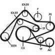 Jeu de courroies trapézoïdales à nervures CONTITECH 6PK2404D2 - Visuel 1