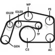 Jeu de courroies trapézoïdales à nervures CONTITECH 6PK2460D1 - Visuel 1