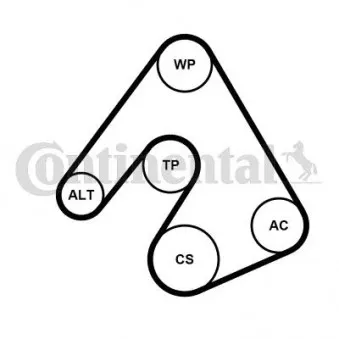 Pompe à eau+Jeu de courroie trapézoïdale à nervures CONTITECH 6PK2490WP1
