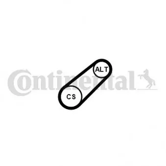 Courroie trapézoïdale à nervures CONTITECH 6PK701 ELAST