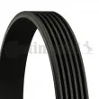 Courroie trapézoïdale à nervures CONTITECH 6PK701 ELAST - Visuel 2