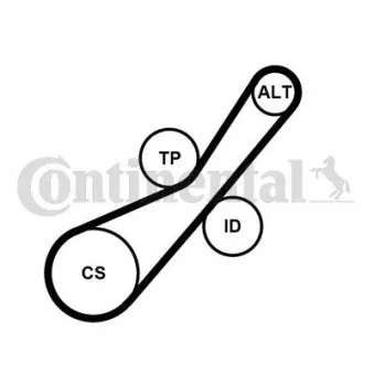 Jeu de courroies trapézoïdales à nervures CONTITECH 6PK800K2