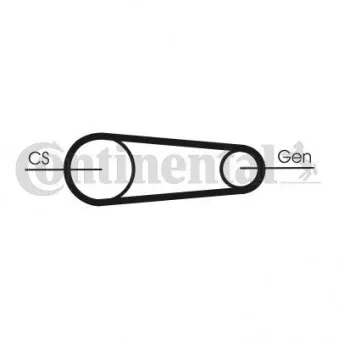 Jeu de courroies trapézoïdales à nervures CONTITECH 6PK831 ELAST T2