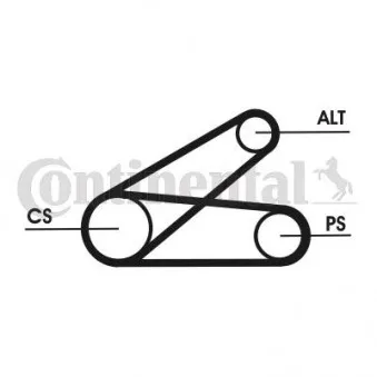 Jeu de courroies trapézoïdales à nervures CONTITECH 6PK873 ELAST T1