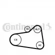 Jeu de courroies trapézoïdales à nervures CONTITECH 6PK905 EXTRA K1 - Visuel 1