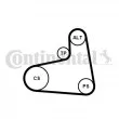 Jeu de courroies trapézoïdales à nervures CONTITECH 6PK906K1 - Visuel 1