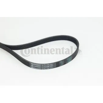 Courroie trapézoïdale à nervures CONTITECH 6PK976
