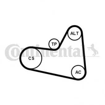 Jeu de courroies trapézoïdales à nervures CONTITECH 6PK976K2