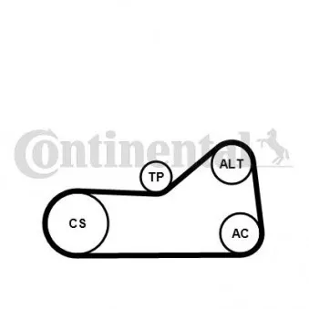 Pompe à eau+Jeu de courroie trapézoïdale à nervures CONTITECH 6PK976WP1