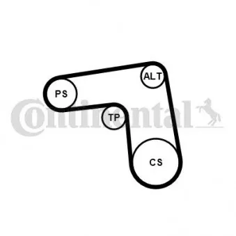 Jeu de courroies trapézoïdales à nervures CONTITECH 7PK1076K1