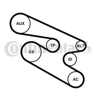 Jeu de courroies trapézoïdales à nervures CONTITECH 7PK1104K1