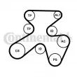 Jeu de courroies trapézoïdales à nervures CONTITECH 7PK1855K1 - Visuel 1