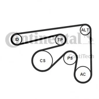Jeu de courroies trapézoïdales à nervures CONTITECH 7PK2061K1