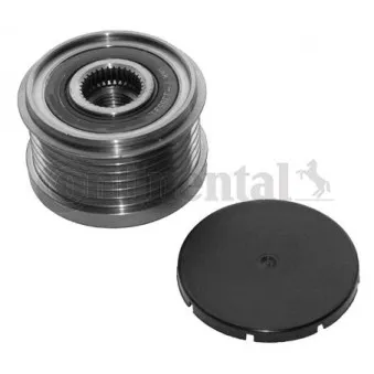 Poulie roue libre, alternateur CONTITECH AP9019