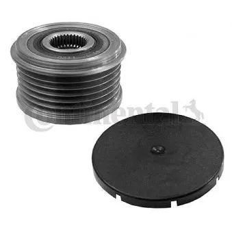 Poulie roue libre, alternateur CONTITECH AP9023