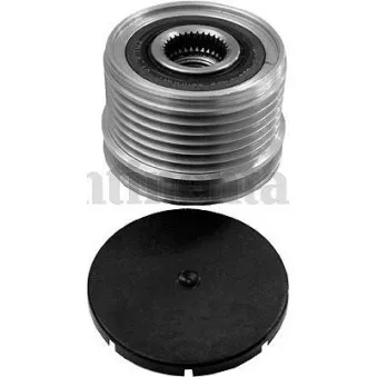 Poulie roue libre, alternateur CONTITECH AP9025