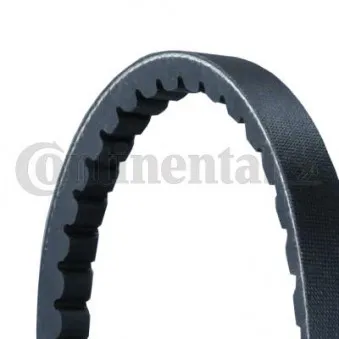 Courroie trapézoïdale CONTITECH AVX13X955