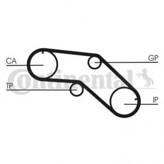 Courroie crantée CONTITECH CT1005