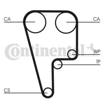 Courroie crantée CONTITECH CT1006