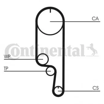 Pompe à eau + kit de courroie de distribution CONTITECH CT1008WP2
