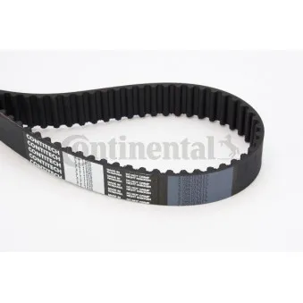 Courroie crantée CONTITECH CT1010