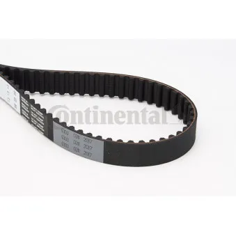 Courroie crantée CONTITECH CT1013