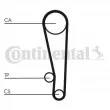 Kit de distribution CONTITECH CT1013K1 - Visuel 2