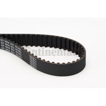 Courroie crantée CONTITECH CT1014