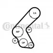 Courroie crantée CONTITECH CT1014 - Visuel 2