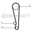 Courroie crantée CONTITECH CT1024 - Visuel 2