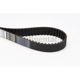 Courroie crantée CONTITECH CT1025
