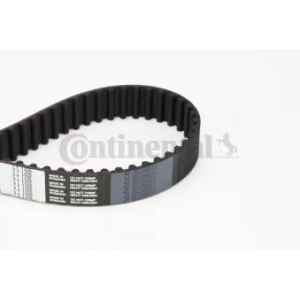 Courroie crantée CONTITECH CT1026
