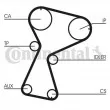 Courroie crantée CONTITECH CT1026 - Visuel 2