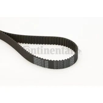 Courroie crantée CONTITECH CT1028