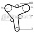 Courroie crantée CONTITECH CT1029 - Visuel 1