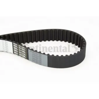 Courroie crantée CONTITECH CT1034