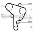 Courroie crantée CONTITECH CT1044 - Visuel 3